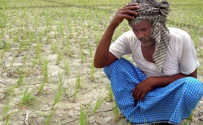 Farmers-Farmers Fourth in Modi's Raj