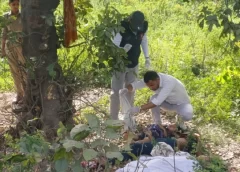 UP: पेड़ से लटका मिला महिला का शव, नीचे पड़ी थी देवर और मासूम बेटी की लाश; कुछ अनसुलझे सवाल, जिनके जवाब नहीं