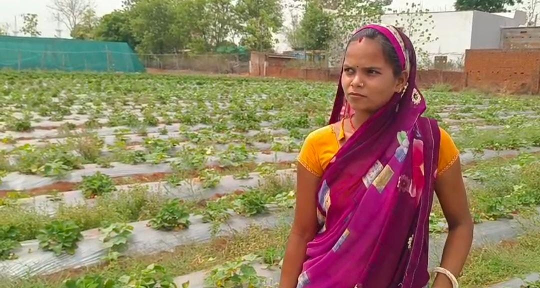 बंजर जमीन पर उगी उम्मीद: स्ट्रॉबेरी खेती से राखी देवी बनीं मिसाल