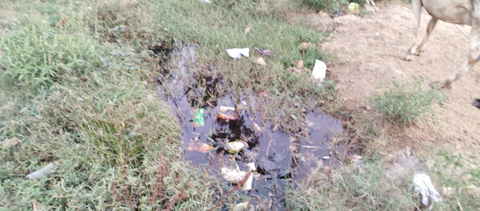 मच्छर से बचाव को लेकर अभितक नहीं की गई है कोई व्यवस्था,नाराज