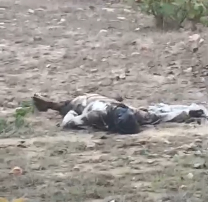 जंगल में एक युवक का शव मिलने से सनसनी।