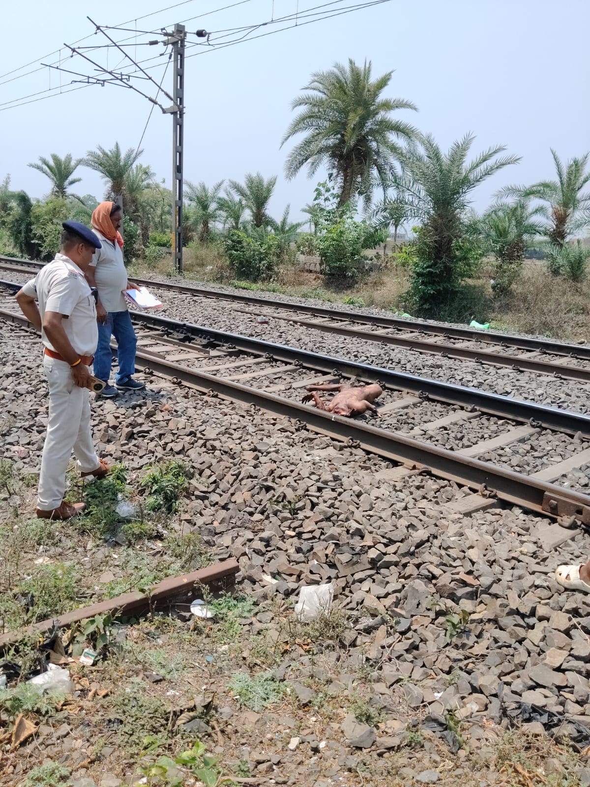 कोटालपोखर से पाकुड़ जाने वाली रेलवे लाइन पर मंगलवार सुबह एक अज्ञात व्यक्ति का मिला शव