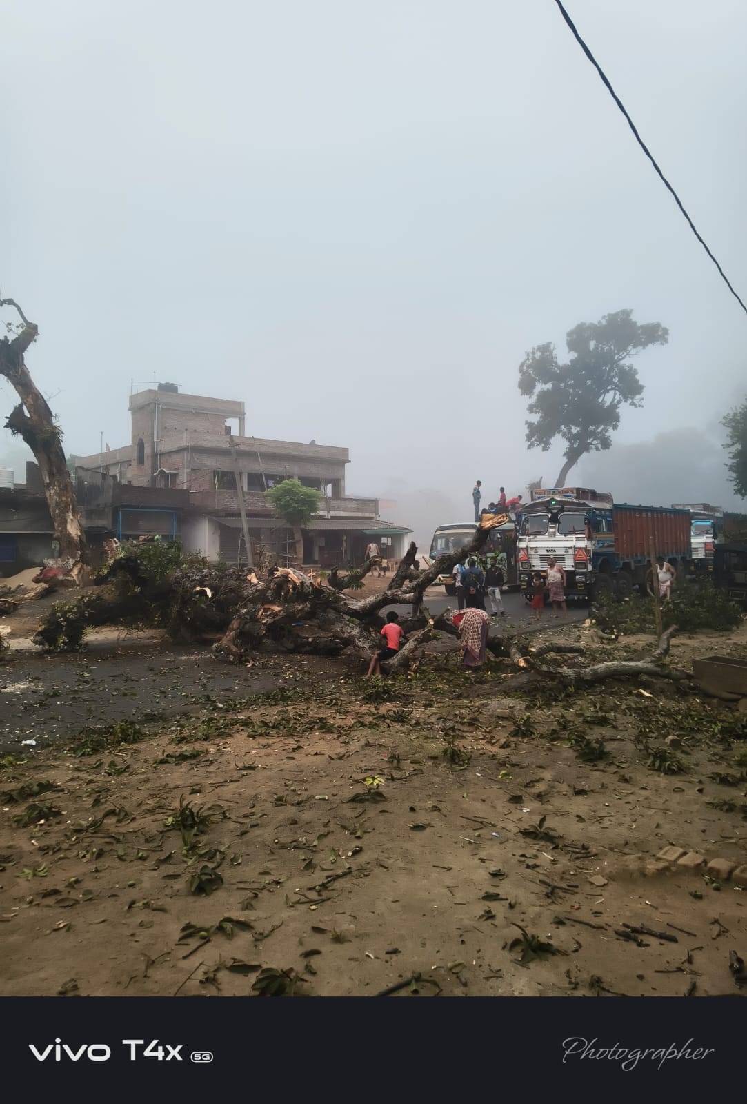 शिकारीपाड़ा के गणेशपुर में सड़क पर गिरा विशाल आम का पेड़, टला बड़ा हादसा; NH पर लगा लंबा जाम।