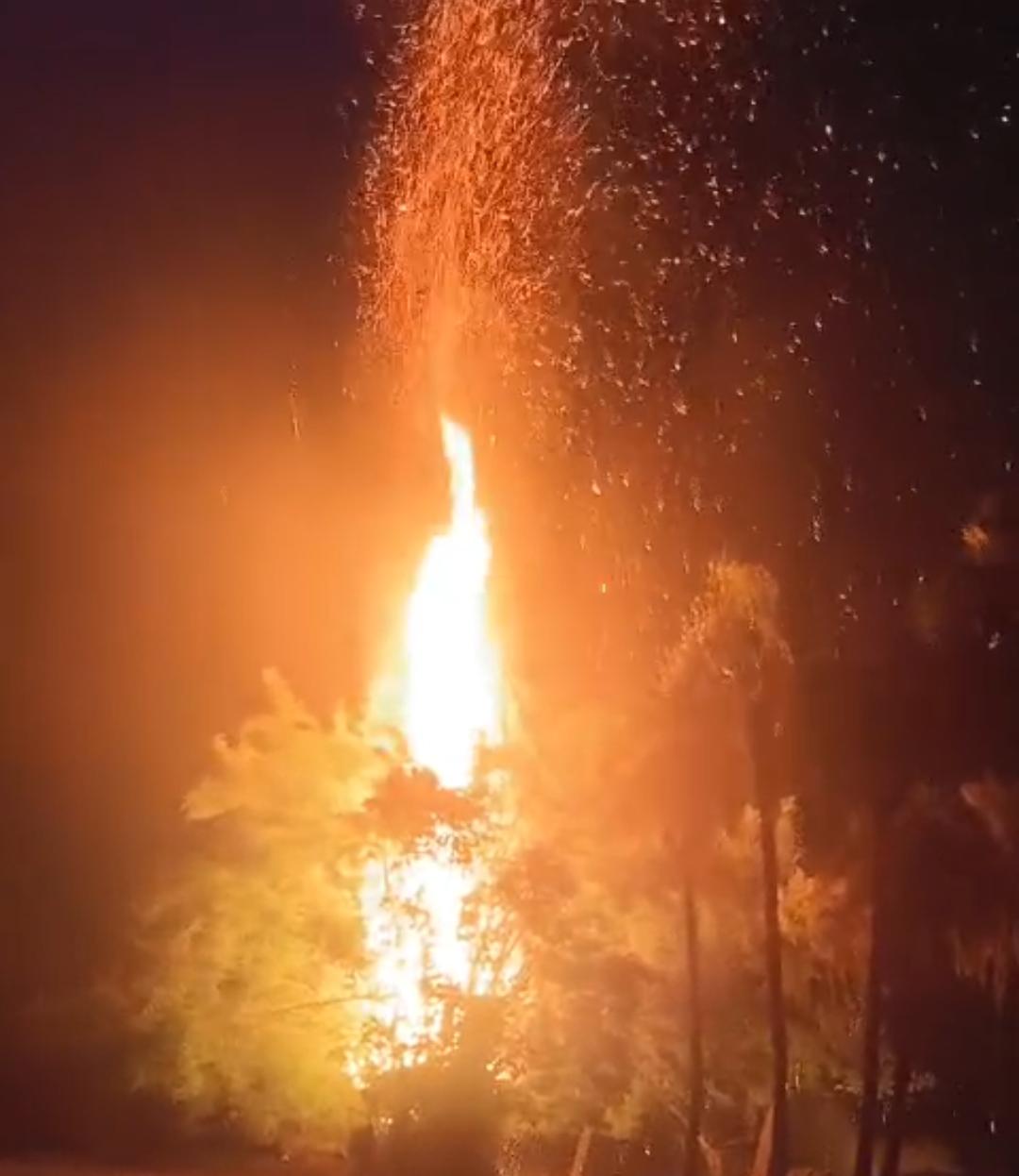 हंटरगंज के नावाडीह में बांस के पेड़ों में लगी भीषण आग,