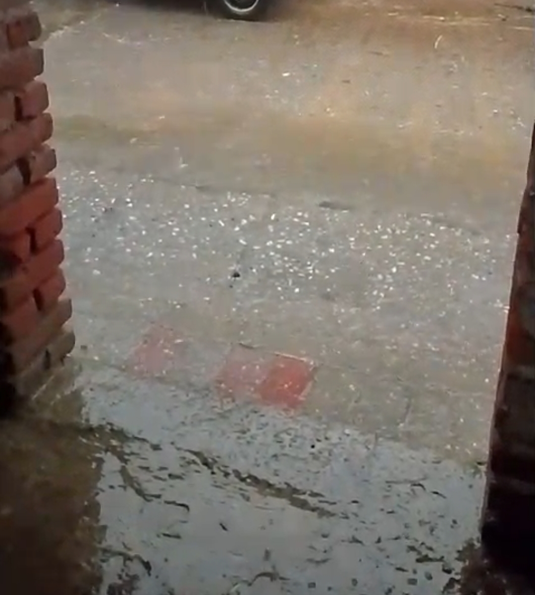 मूसलधार वारिस ने जलभराव मूंग की हुई बर्बाद किसान मायूस