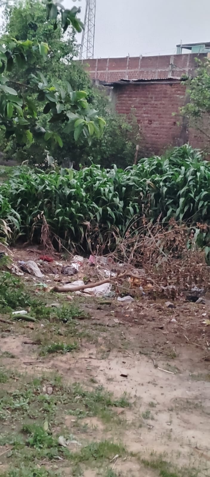 श्री राम बिगहा में सरकारी पइन को भरकर बना लिए गए निजी मकान।