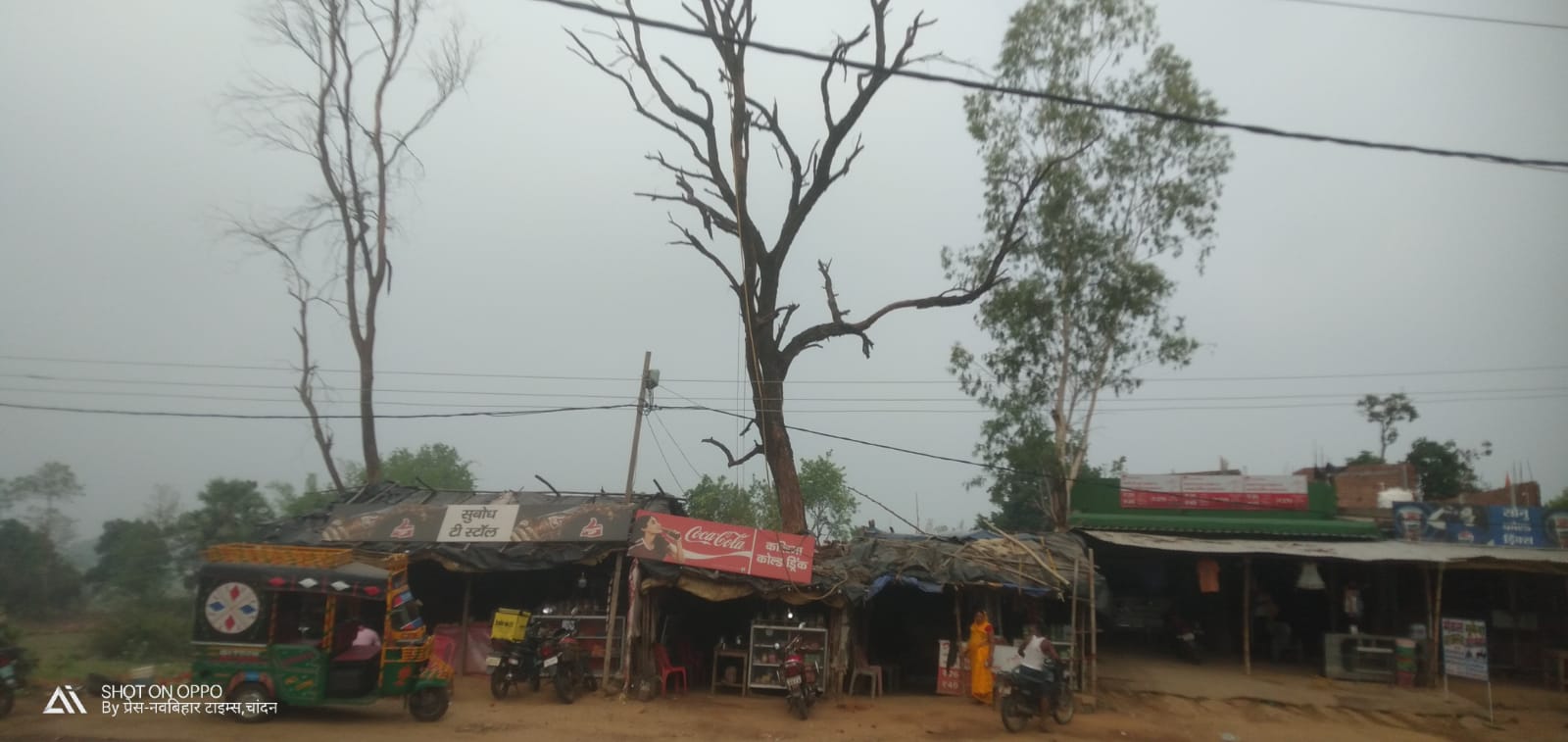 सड़क किनारे सुखी पेड़ दे रहे हैं हादसे को निमंत्रण ।