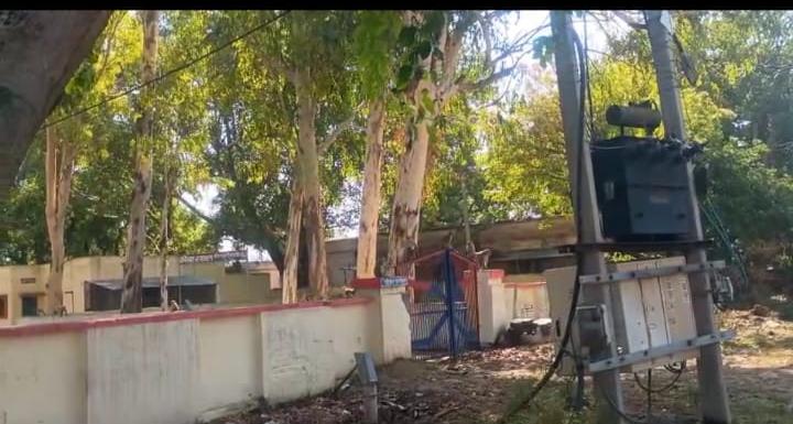 माधौगढ़ नगर में बंदरों का आतंक, थाना परिसर से लेकर बाजार तक दहशत का माहौल