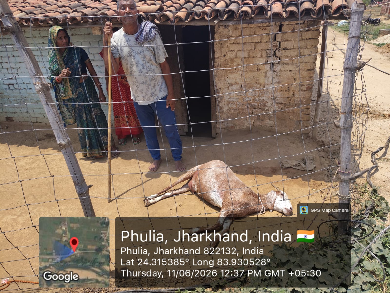 फुलिया में बिजली विभाग की लापरवाही से बकरी की मौत,ग्रामीणों में आक्रोश