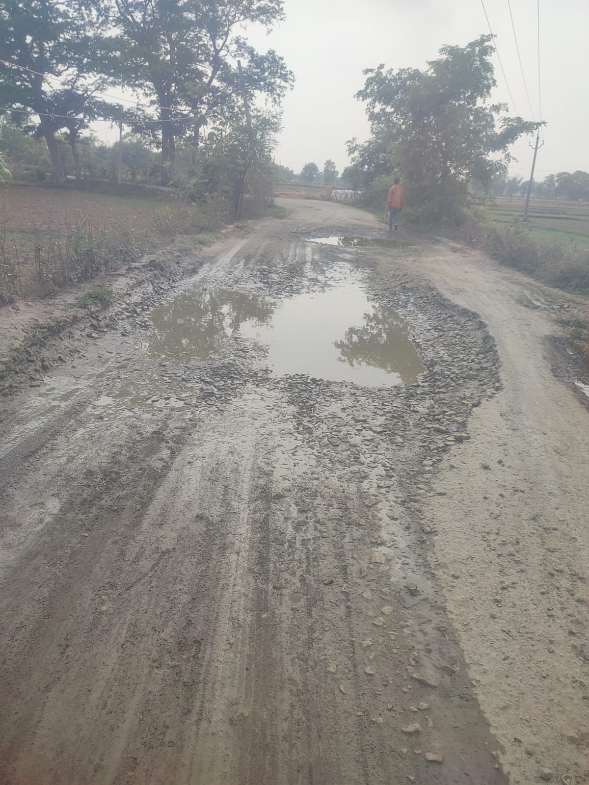 भरूब पथ गढ़ों में है तब्दील , इन सड़कों पर जाने से लगता है डर।