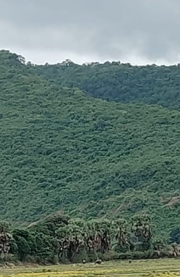 पंडरा थाना के भीतर महिला ने लगाई फांसी, गंभीर हालत में सिटी अस्पताल में भर्ती!