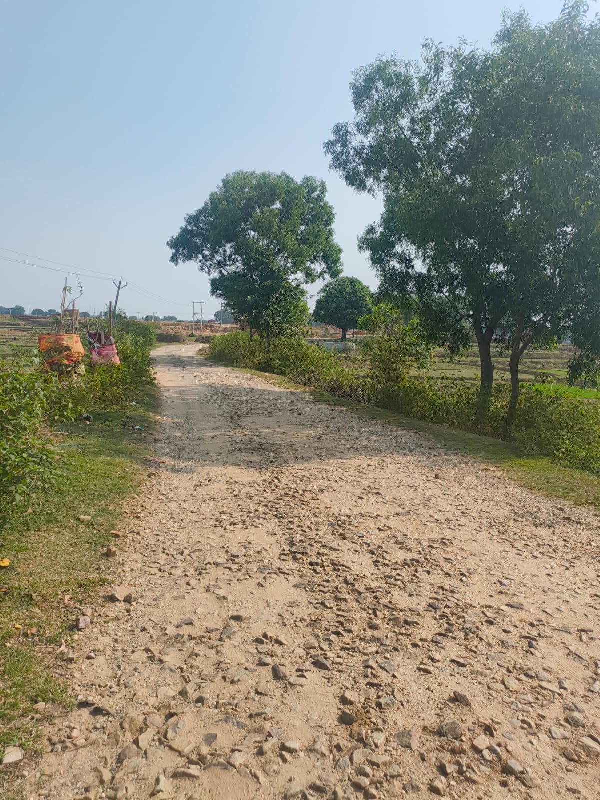 गिरिडीह : धर्मपुर की मुख्य सड़क बदहाल, ग्रामीणों में भारी रोष, आंदोलन की चेतावनी