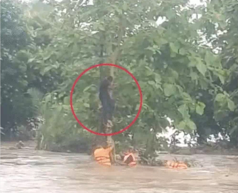 गुजरात में बारिश का कहर, कई जिलों में रेड अलर्ट जारी; नवसारी में करंट लगने से तीन मजदूरों की मौत