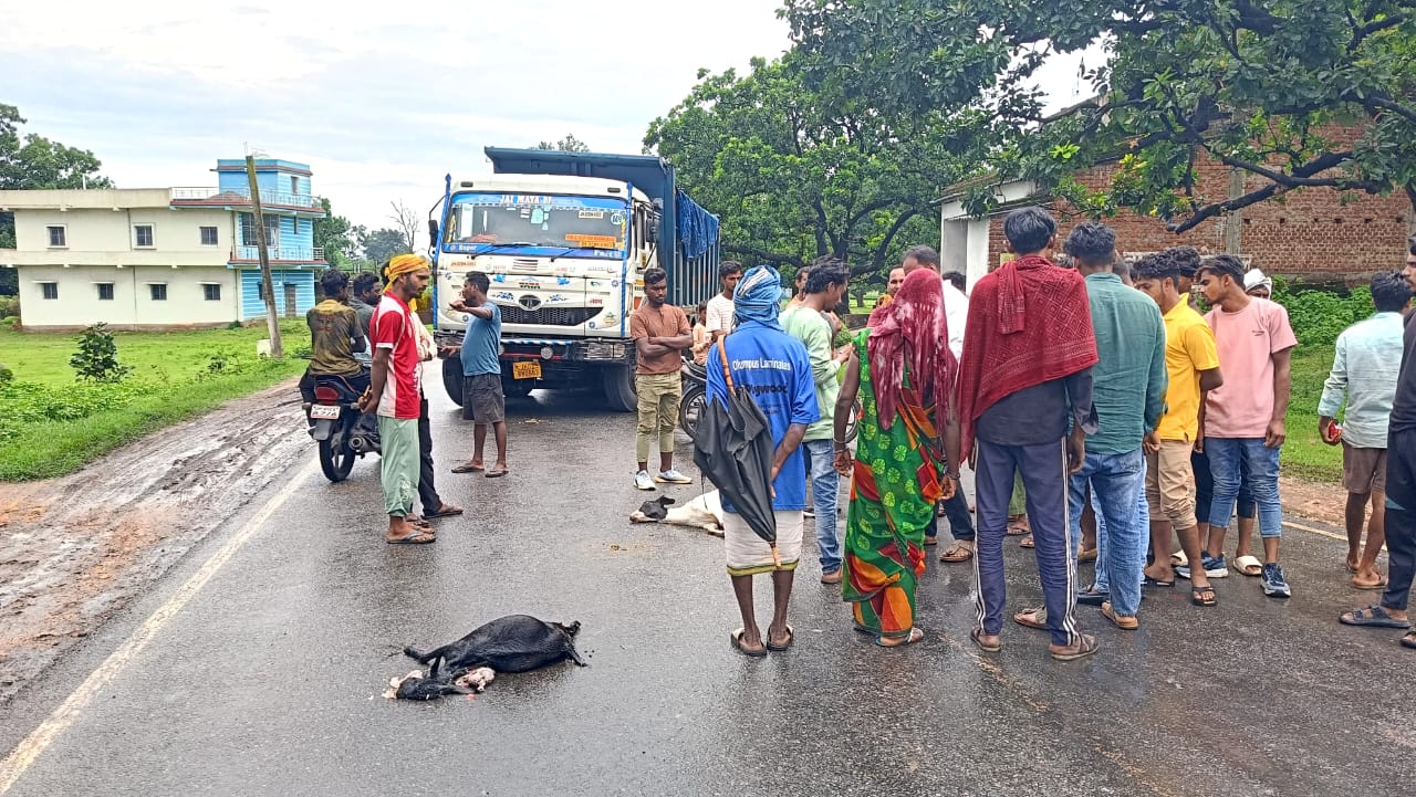 हाईवा की चपेट में आने से दो बकरियों की मौत, दो घंटे सड़क रहा जाम