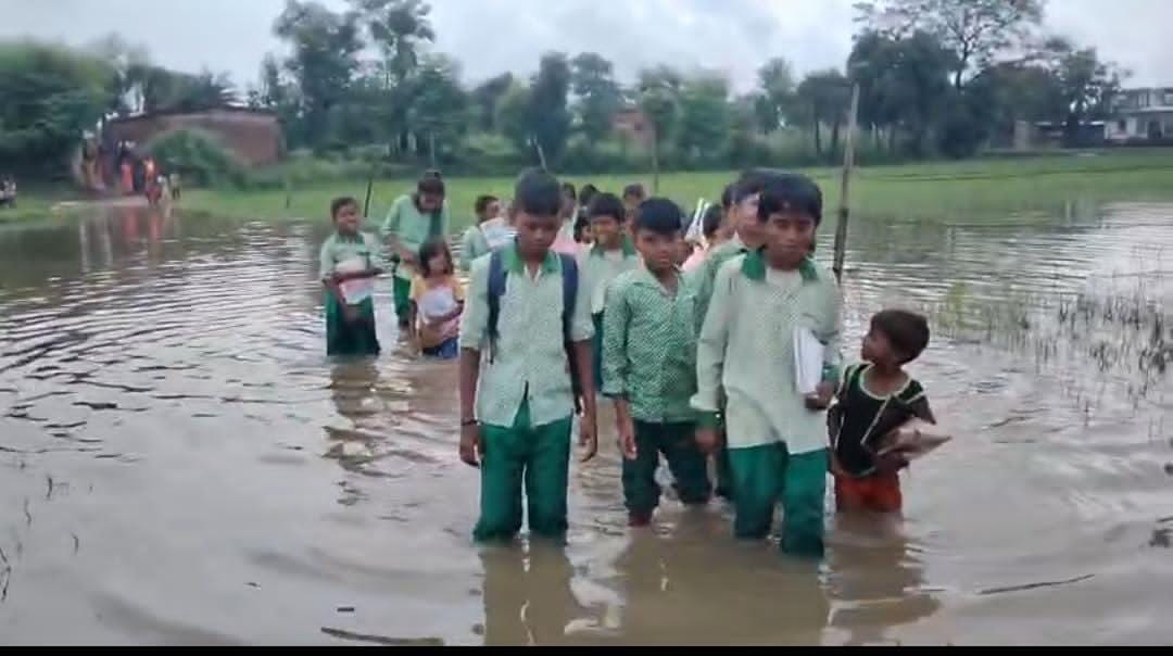 चतरा में मूसलाधार बारिश से परसिया दलित टोला बना टापू, 200 ग्रामीणों का संपर्क कटा