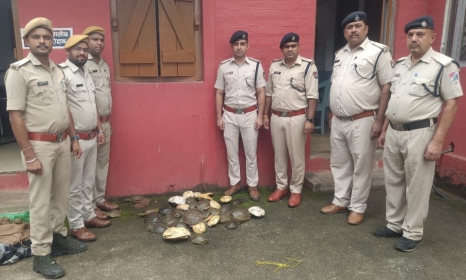 गोमो RPF की बड़ी कार्रवाई, 48 जिंदा कछुए बरामद