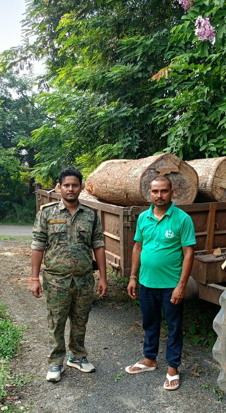अवैध लकड़ी के खिलाफ वन विभाग की बड़ी कार्रवाई, भारी मात्रा में सेमल व सखुआ बोटा लकड़ी जब्त
