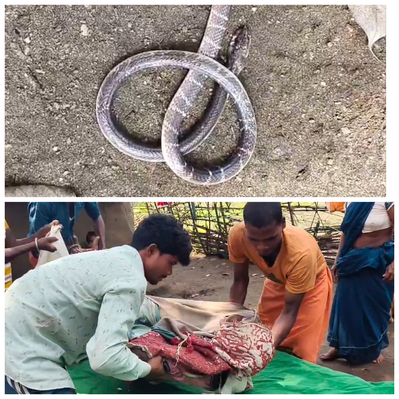सिस्टम की बेरुखी ने ली जान! मोबाइल नेटवर्क और परिवहन न होने से सर्पदंश के शिकार 50 वर्षीय ग्रामीण की तड़पकर मौत