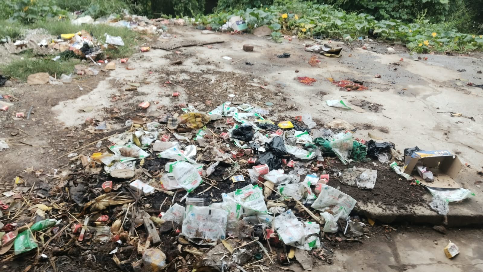 बिश्रामपुर नगर परिषद में गंदगी का अंबार, सप्ताह भर से सफाई ठप